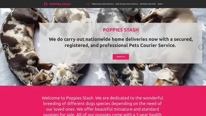 Screenshot of