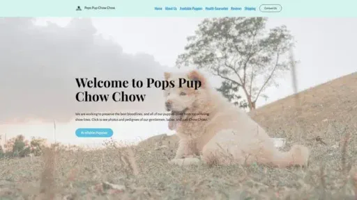 Screenshot of