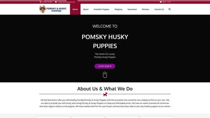 Screenshot of