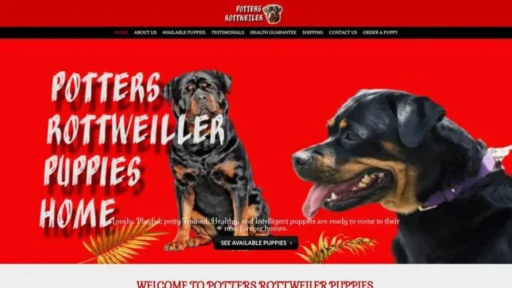 Screenshot of||