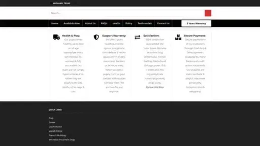 Screenshot of