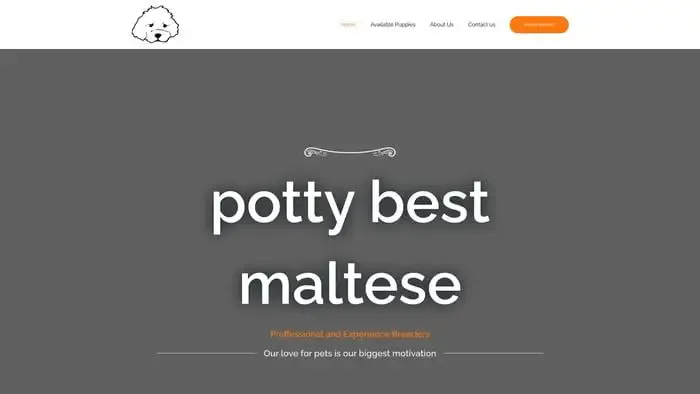 Screenshot of