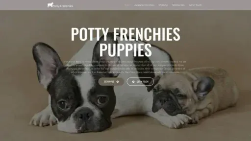 Screenshot of