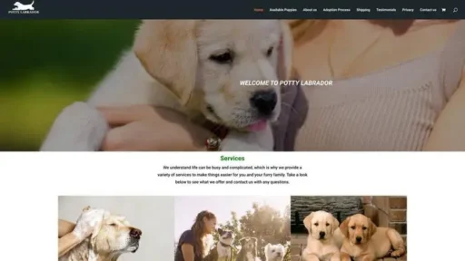 Screenshot of