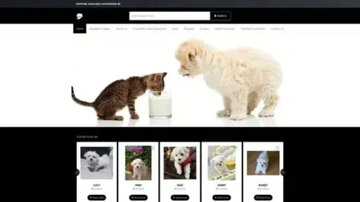 Screenshot of