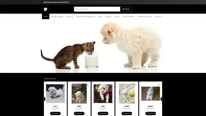 Screenshot of