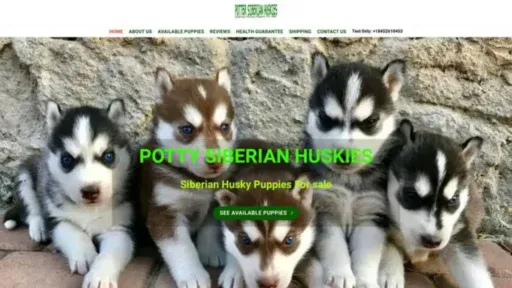 Screenshot of||