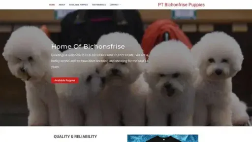 Screenshot of