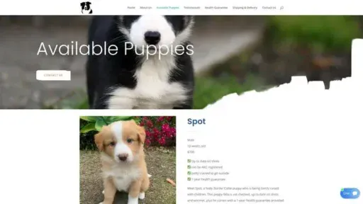 Screenshot of