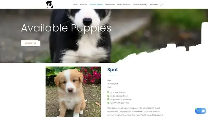 Screenshot of