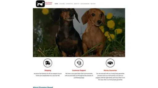 Screenshot of
