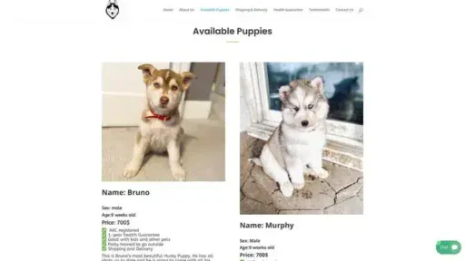 Screenshot of