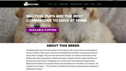 Screenshot of