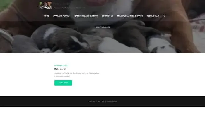 Screenshot of