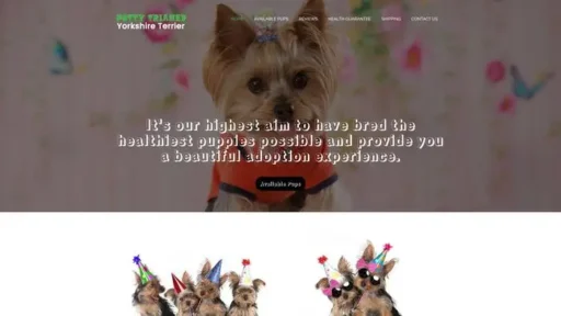 Screenshot of