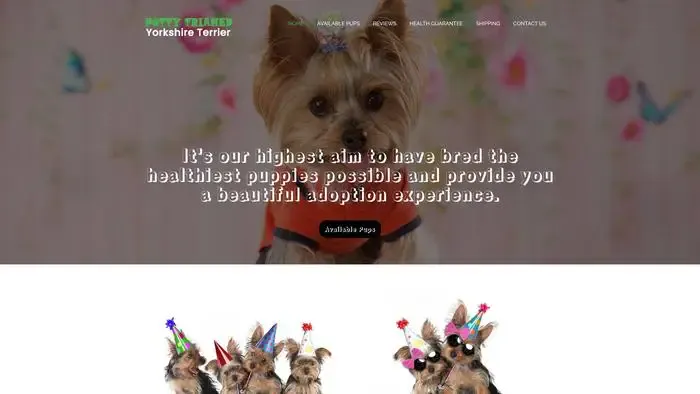 Screenshot of