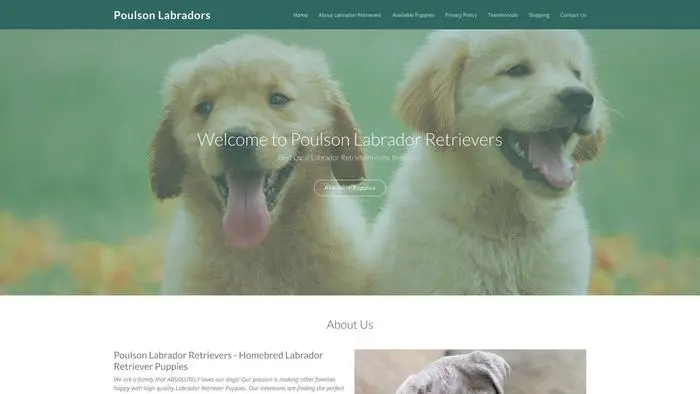 Screenshot of