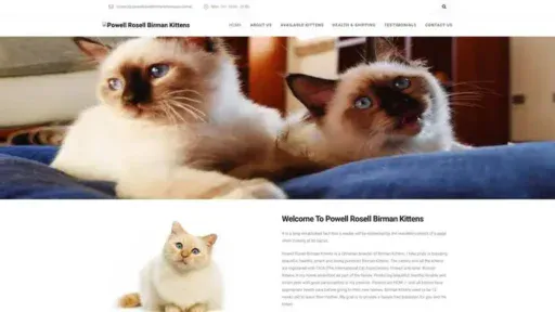 Screenshot of