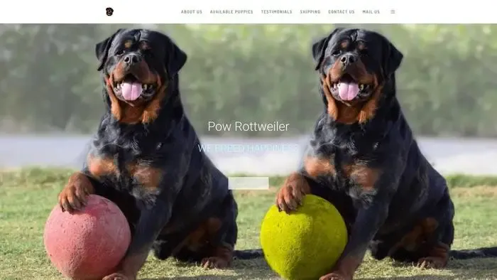 Screenshot of