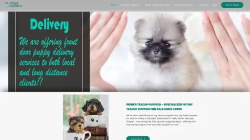 Screenshot of