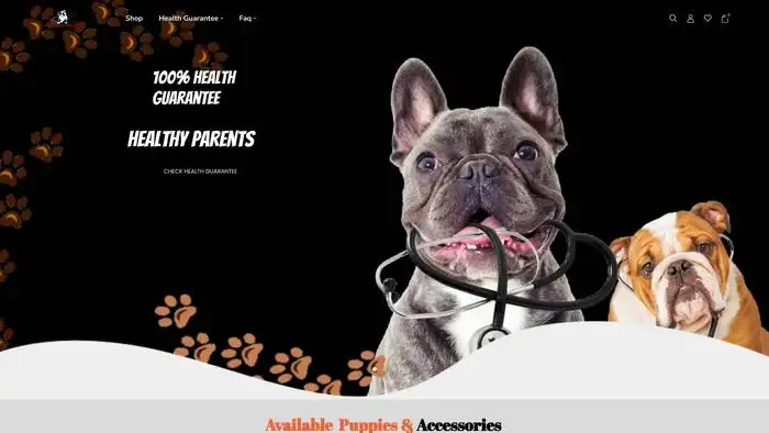 Screenshot of