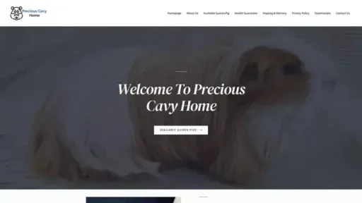 Screenshot of