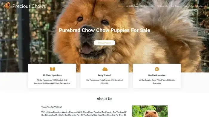 Screenshot of