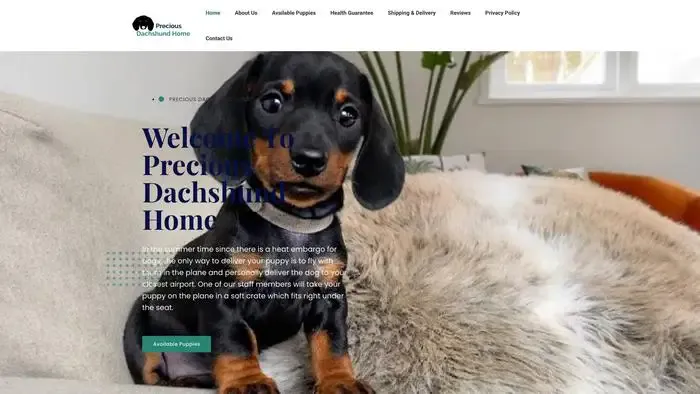 Screenshot of