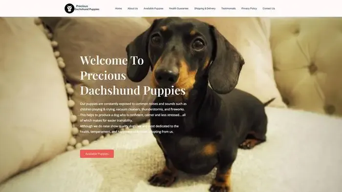 Screenshot of