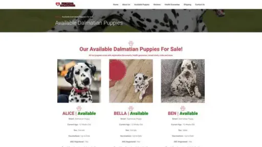 Screenshot of