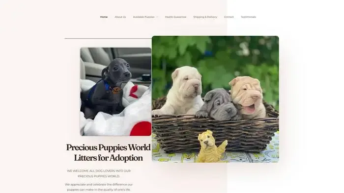Screenshot of