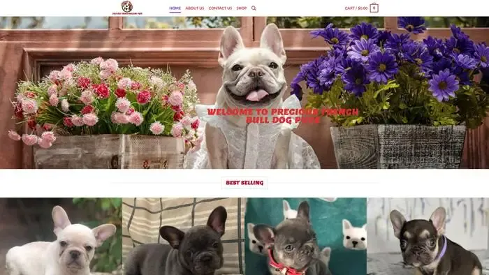 Screenshot of
