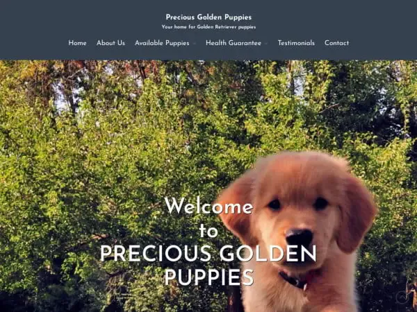 Screenshot of