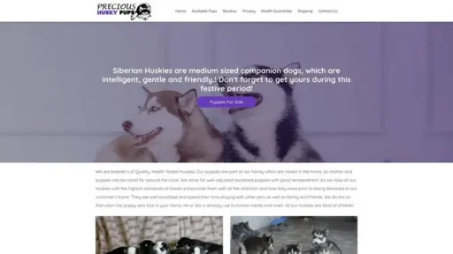 Screenshot of