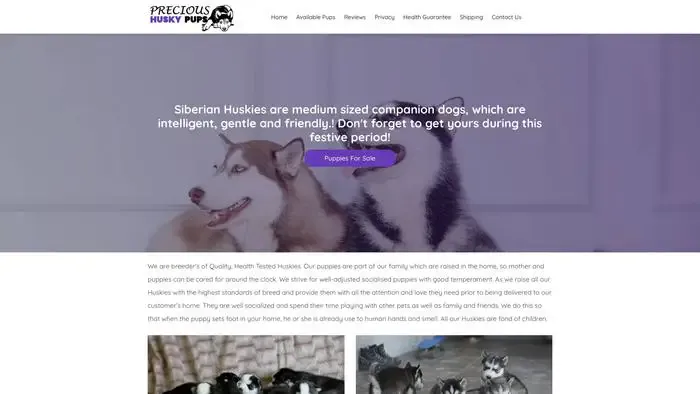 Screenshot of