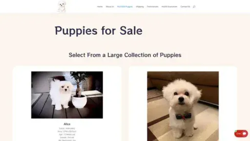 Screenshot of