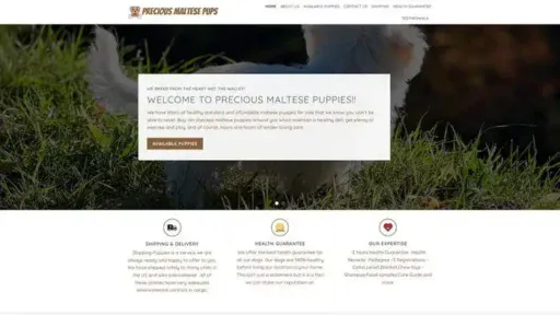 Screenshot of