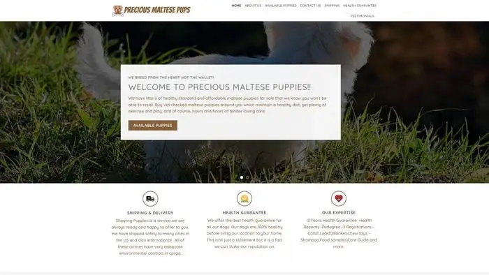 Screenshot of