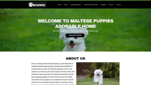 Screenshot of