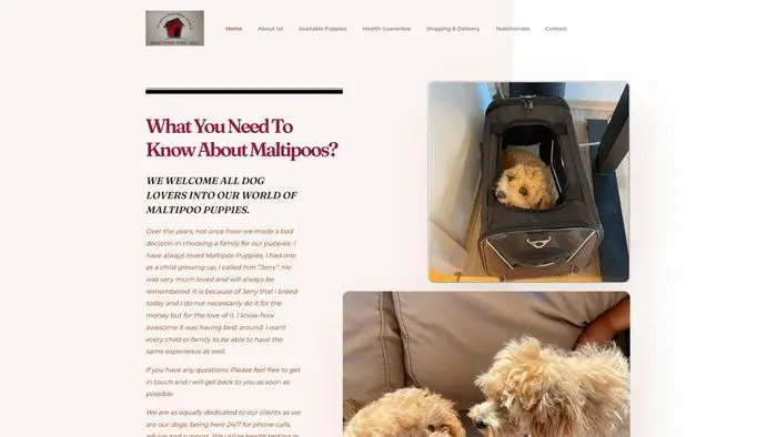 Screenshot of