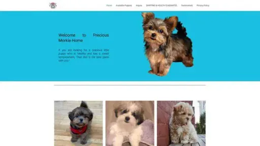 Screenshot of