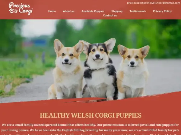 Screenshot of