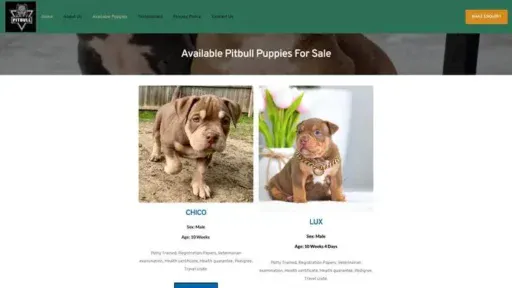 Screenshot of