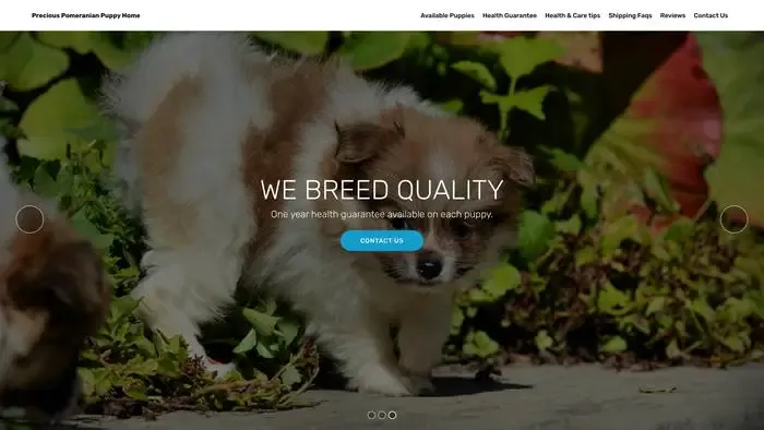 Screenshot of