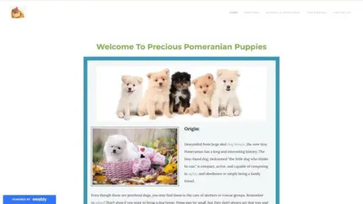Screenshot of