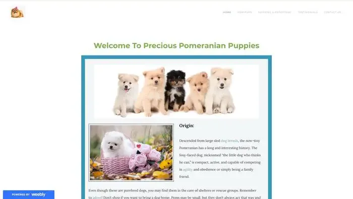 Screenshot of