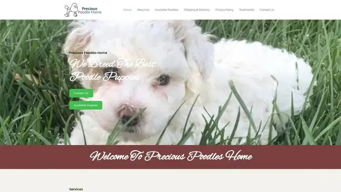 Screenshot of