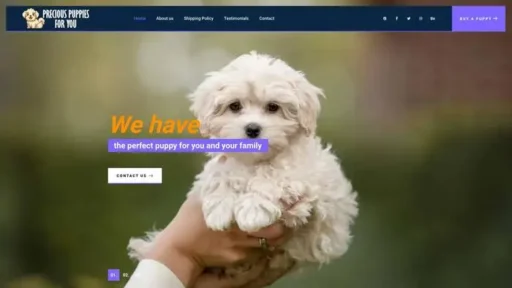 Screenshot of