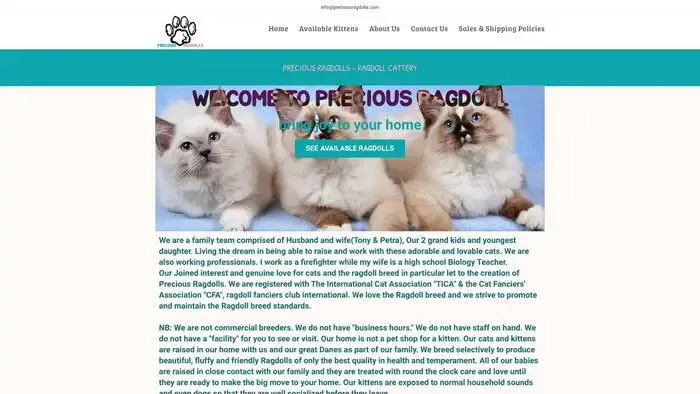 Screenshot of