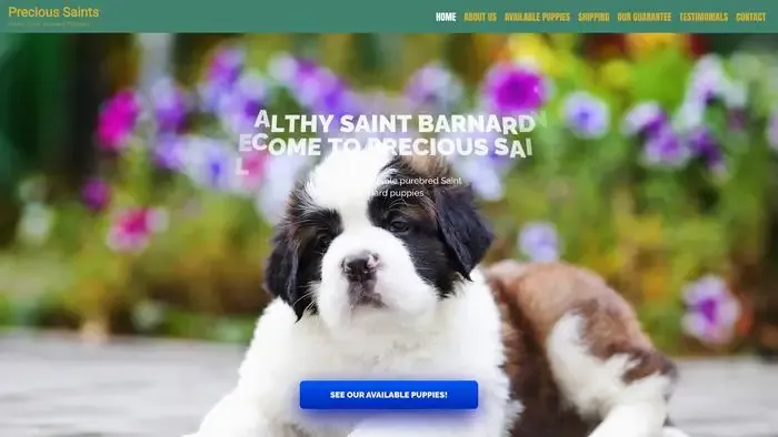 Screenshot of